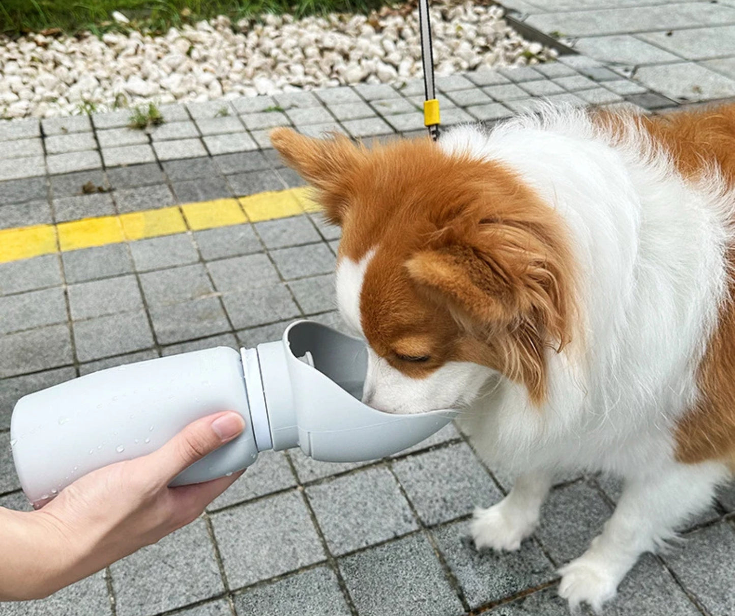 Mug bottiglia d'acqua da viaggio portatile pieghevole pet